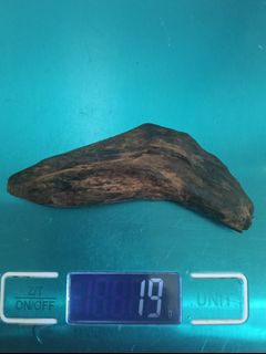 (Category: ) located in . Submitted by asianmart (Listing ID 1451099564, Image 1). Description: .