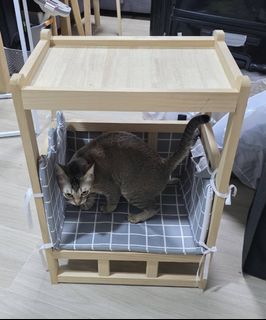 （分類：）位於 。 由 diu9stuff 提交（商品編號 1451008966，圖片 1）。簡介： 。