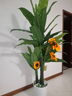 (Category: ) located in . Submitted by aipha (Listing ID 1450964061, Image 1). Description: .