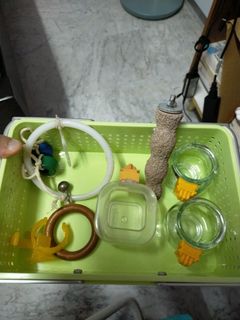 (Category: ) located in . Submitted by pet.88 (Listing ID 1451058108, Image 1). Description: .