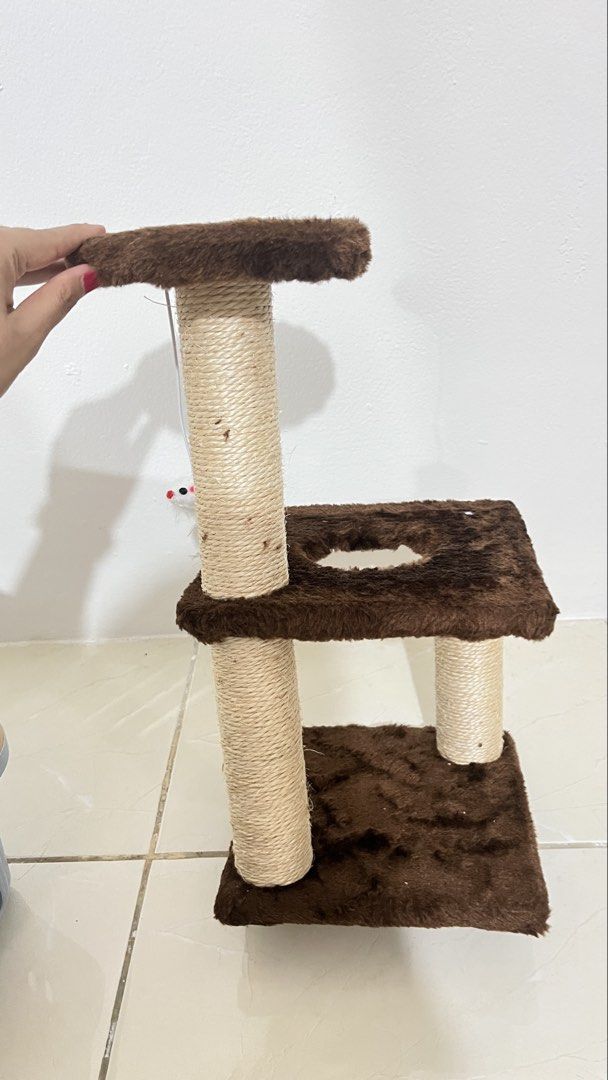 Cat Tree/Cat Tower Mini (Kategori: Aksesoris Hewan) berada di Jakarta Barat. Dikirim oleh lavenderhazee_ (ID iklan 1451051686, Gambar 2). Deskripsi: New yaa belum pernah dipake/kena kucing sama sekali, dijual karena udh beli lagi yg gede. Boleh nego..