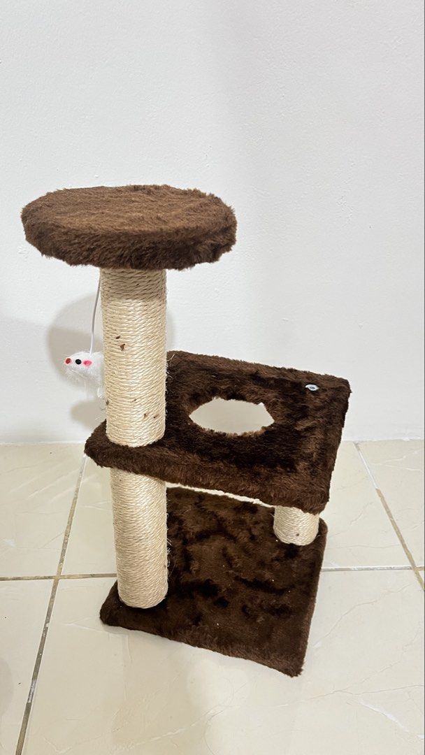 Cat Tree/Cat Tower Mini (Kategori: Aksesoris Hewan) berada di Jakarta Barat. Dikirim oleh lavenderhazee_ (ID iklan 1451051686, Gambar 1). Deskripsi: New yaa belum pernah dipake/kena kucing sama sekali, dijual karena udh beli lagi yg gede. Boleh nego..