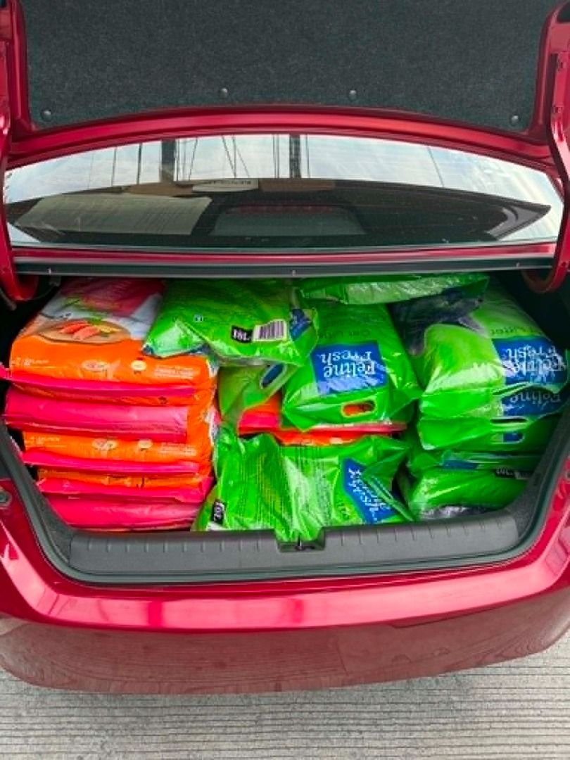 Feline Fresh Cat Litter Sand - 10 L - Lavander (Category: Health & Grooming) located in Makati City. Submitted by tramda (Listing ID 1451082784, Image 3). Description: P259 - Manila area near Makati - Bentonite cat litter sand - Only available in lavander scent.