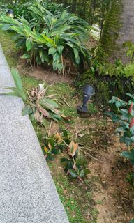 (Category: ) located in . Submitted by karups7 (Listing ID 1451070733, Image 1). Description: .