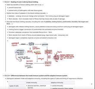 （分類：）位於 。 由 ngtwl21 提交（商品編號 1451017857，圖片 1）。簡介： 。