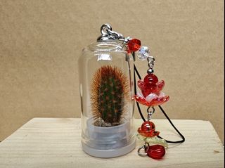 (Category: ) located in . Submitted by happytree_12383 (Listing ID 1451129327, Image 1). Description: .