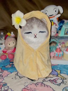 (Category: ) located in . Submitted by whimsy-world (Listing ID 1451081710, Image 1). Description: .