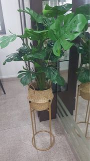 (Category: ) located in . Submitted by energyball (Listing ID 1451078206, Image 1). Description: .