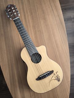 (Category: ) located in . Submitted by ukulele101 (Listing ID 1451013797, Image 1). Description: .