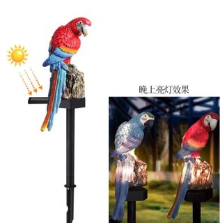 (Category: ) located in . Submitted by felicetherapygarden (Listing ID 1451059007, Image 1). Description: .