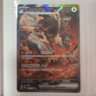 （分類：）位於 。 由 kaylagarden 提交（商品編號 1450938721，圖片 1）。簡介： 。