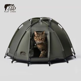 （分類：）位於 。 由 quickowl04 提交（商品編號 1451117305，圖片 1）。簡介： 。
