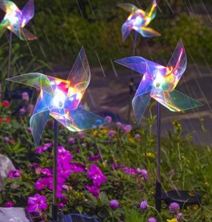 (Category: ) located in . Submitted by felicetherapygarden (Listing ID 1451061895, Image 1). Description: .