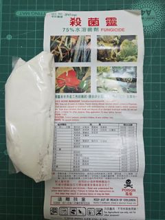 （分類：）位於 。 由 vastdolphin.86f83c 提交（商品編號 1451316062，圖片 1）。簡介： 。