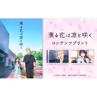 （分類：）位於 。 由 blueam 提交（商品編號 1451305983，圖片 1）。簡介： 。