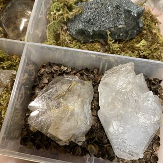 （分類：）位於 。 由 hamhamntung 提交（商品編號 1451260551，圖片 1）。簡介： 。
