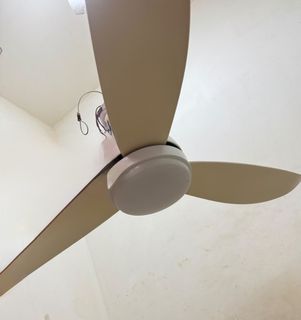 (Category: ) located in . Submitted by chs12 (Listing ID 1451300164, Image 1). Description: .