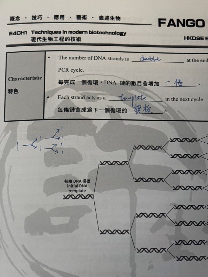 Fango bio notes （分類：教科書）位於 Hong Kong。 由 happy815883 提交（商品編號 1451241192，圖片 3）。簡介： 2025 dse Fango bio chapter 29,30 Elective e4 中英對照 60@1 200@all 。