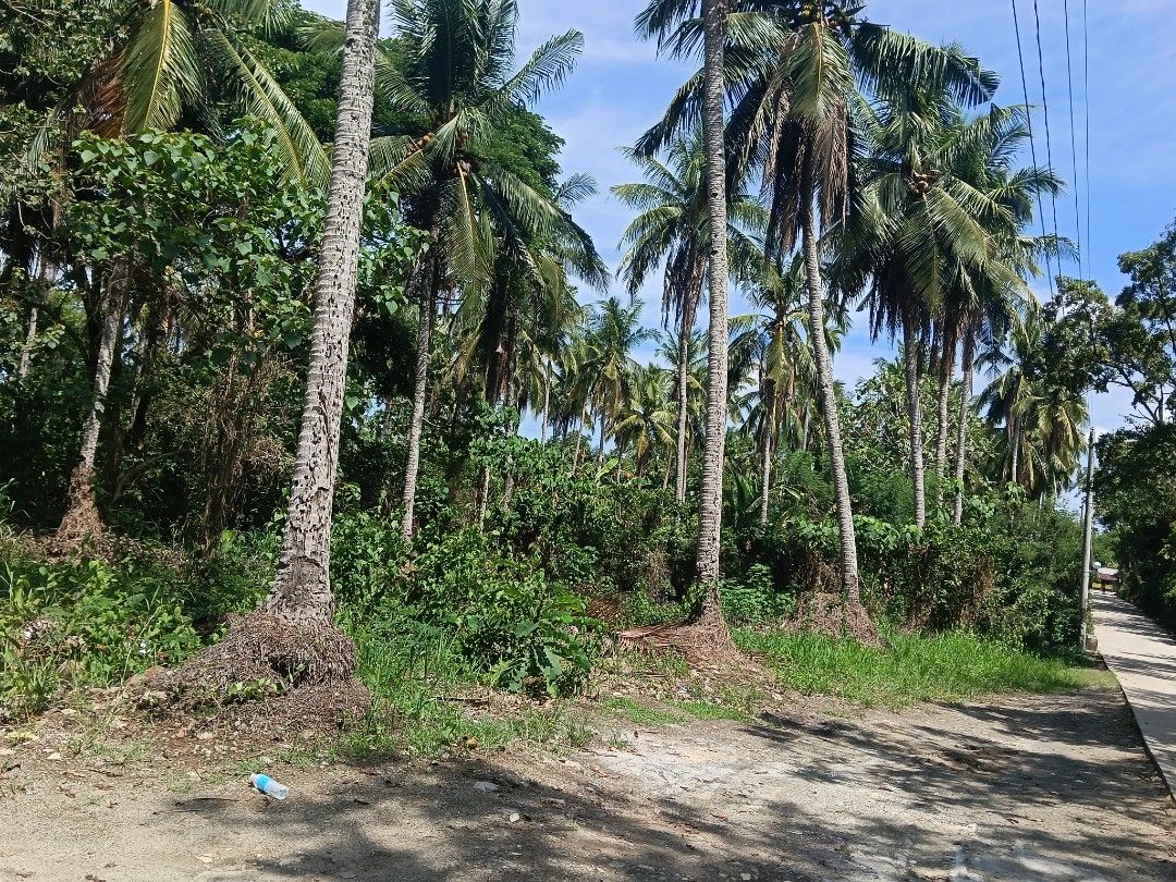 farmlot for sale (Category: Lot) located in Batangas. Submitted by lanashdee (Listing ID 1451134182, Image 1). Description: farmlot for sale alobg cemented barangay road titled rosario batangas 4900 sqm.