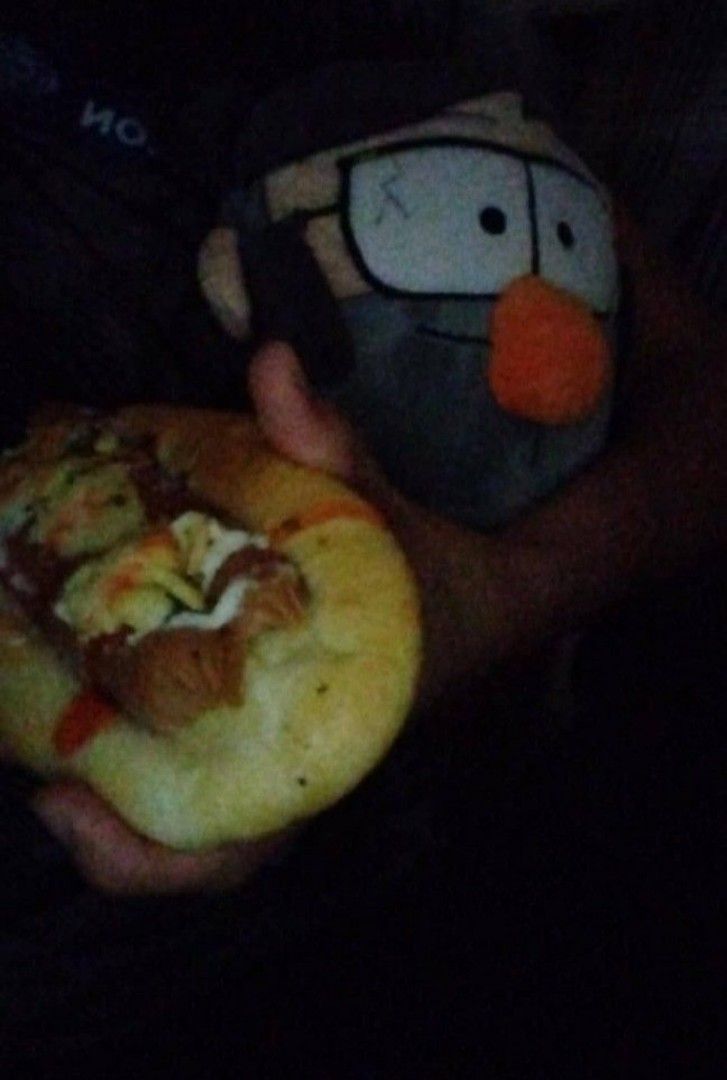 FORD PINES PLUSH (Category: Plushies & Soft Toys) located in Manila. Submitted by flunkyhat (Listing ID 1451191199, Image 2). Description: gcash payment only lbc like new with free bill pin with sf.