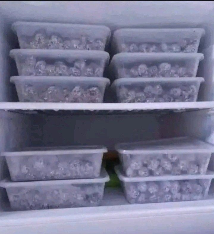 KIMCHI AND FROZEN MUNCHKIN (Category: Chilled & Frozen Food) located in Cebu City. Submitted by hannabishi_34 (Listing ID 1451142094, Image 1). Description: .