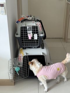 (Category: ) located in . Submitted by vicki_xu1988 (Listing ID 1451164592, Image 1). Description: .
