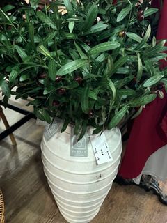 (Category: ) located in . Submitted by zq.official (Listing ID 1451148898, Image 1). Description: .