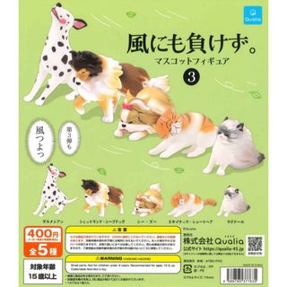 （分類：）位於 。 由 vanvancat 提交（商品編號 1451296171，圖片 1）。簡介： 。
