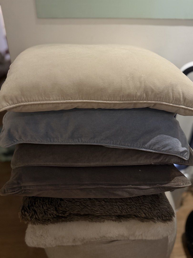 Large Throw Pillows (Category: Cushions & Throws) located in Pasig City. Submitted by atticstreet (Listing ID 1451173629, Image 1). Description: Large Throw Pillows Refresh your living space with this cozy and stylish set of decorative throw pillows. Perfect for adding warmth, texture, and elegance to your sofa, bed, or favorite reading nook. Includes: • 1 Beige Velvet Pillow (Ikea) • 1 Blue Velvet Pillow (Ikea) • 2 Dark Gray Velvet Pillow (Ikea)