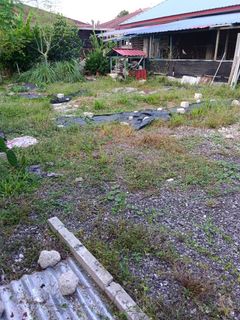 (Category: ) located in . Submitted by acaphensem96 (Listing ID 1451222619, Image 1). Description: .