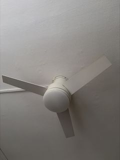 (Category: ) located in . Submitted by seller24 (Listing ID 1451238365, Image 1). Description: .