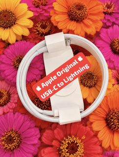 Apple Charging Cable & Accessories [AUTHENTIC/ORIGINAL] Collection item 1