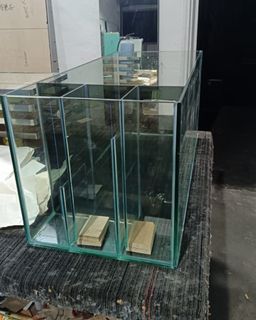 (Category: ) located in . Submitted by aquaticsolutions (Listing ID 1451460094, Image 1). Description: .