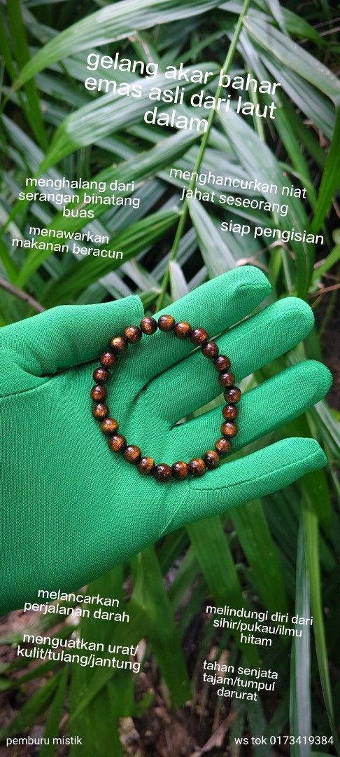 Gelang akar bahar emas asli 100% dari laut (Category: Bracelets) located in Bachok. Submitted by pemburu.mistik (Listing ID 1451507202, Image 1). Description: Lihat semua gambar di atas dan baca khasiatnya.