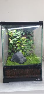 (Category: ) located in . Submitted by philo_foliage (Listing ID 1451377683, Image 1). Description: .