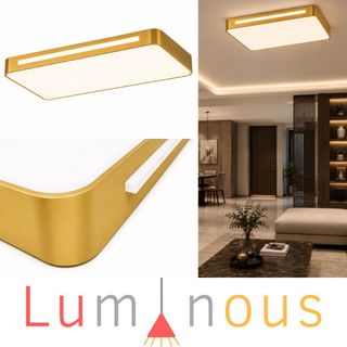 Led Ceiling Lights Collection item 1