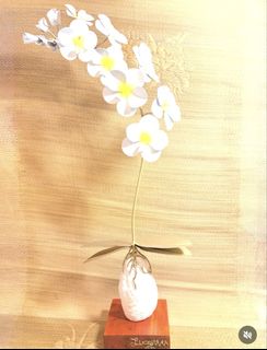 (Category: ) located in . Submitted by shophen (Listing ID 1451369787, Image 1). Description: .