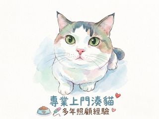 （分類：）位於 。 由 alicenmt 提交（商品編號 1451405133，圖片 1）。簡介： 。