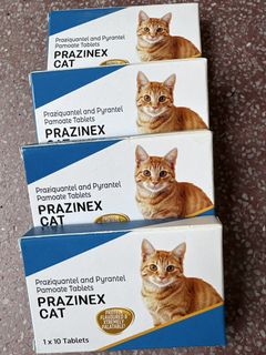 (Category: ) located in . Submitted by meowwwee (Listing ID 1451387062, Image 1). Description: .