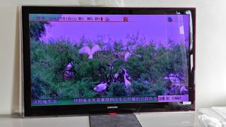 （分類：）位於 。 由 kyam1015 提交（商品編號 1451427030，圖片 1）。簡介： 。