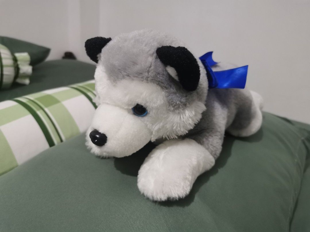 Stuffed Toys BUNDLE (Category: Plushies & Soft Toys) located in Paranaque City. Submitted by clarizas.closet (Listing ID 1451507036, Image 2). Description: Stuffed Toys BUNDLE (free cinnamoroll) - ₱300 Can be bought individually Husky - ₱200 Gengar - ₱150.