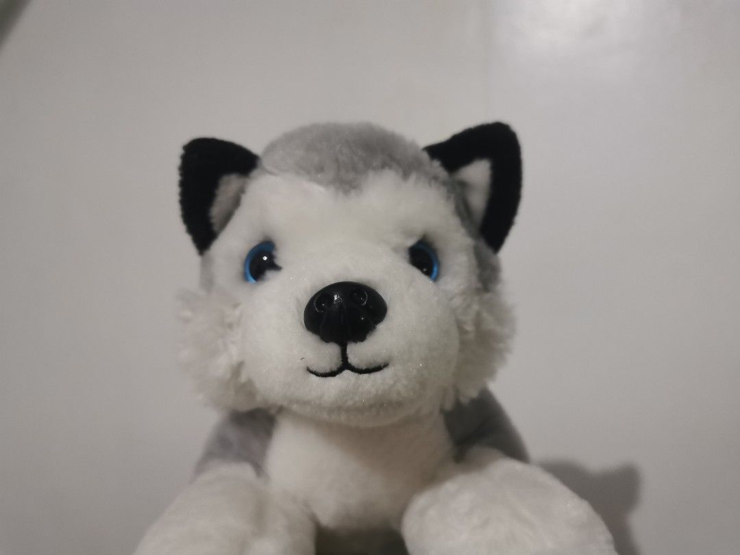 Stuffed Toys BUNDLE (Category: Plushies & Soft Toys) located in Paranaque City. Submitted by clarizas.closet (Listing ID 1451507036, Image 3). Description: Stuffed Toys BUNDLE (free cinnamoroll) - ₱300 Can be bought individually Husky - ₱200 Gengar - ₱150.