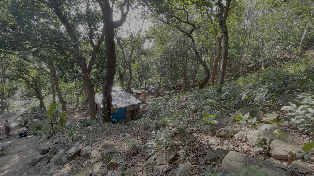 (Category: ) located in . Submitted by dpbasan (Listing ID 1451169731, Image 1). Description: .