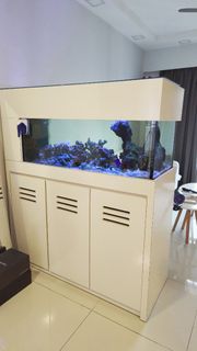(Category: ) located in . Submitted by cslee4420 (Listing ID 1451525985, Image 1). Description: .