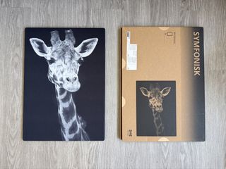 （分類：）位於 。 由 gltc10 提交（商品編號 1451621890，圖片 1）。簡介： 。