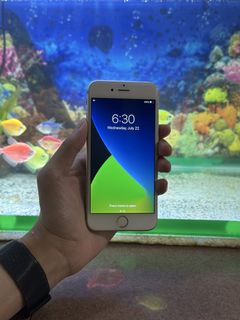 (Category: ) located in . Submitted by shin11544 (Listing ID 1451664365, Image 1). Description: .