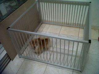 (Kategori: ) berada di . Dikirim oleh ichapreloved65 (ID iklan 1451521865, Gambar 1). Deskripsi: .