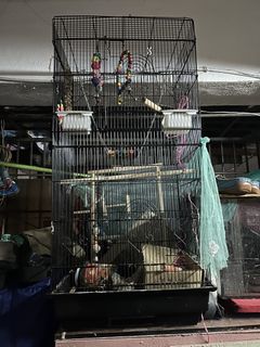 (Category: ) located in . Submitted by chirpysha (Listing ID 1451562401, Image 1). Description: .
