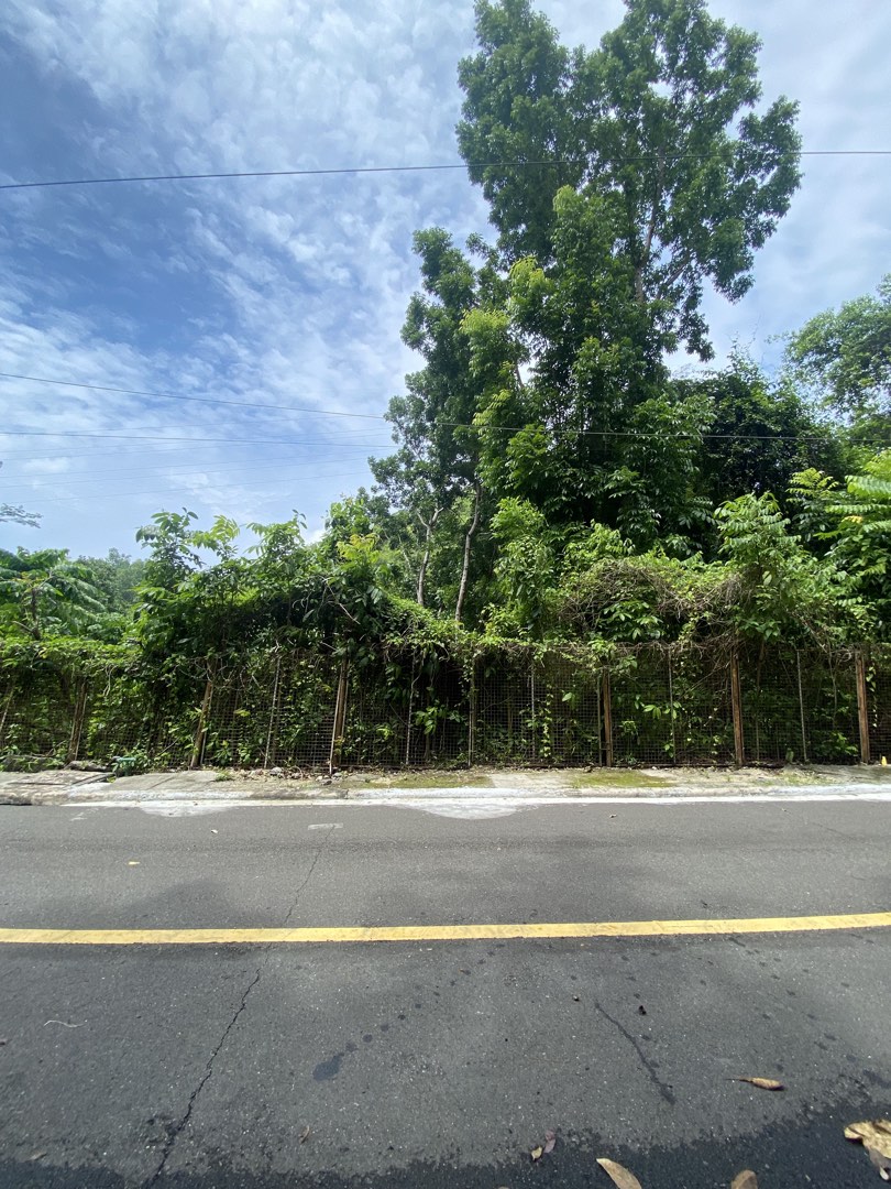 (Category: ) located in . Submitted by essantos_ (Listing ID 1451637128, Image 1). Description: .