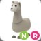 (Category: ) located in . Submitted by adoptmeprincess (Listing ID 1451626338, Image 1). Description: .
